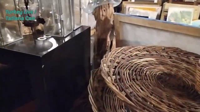 VLOG_Муж снимает видео_Приглашаем на прогулку_Магазин сувениров и антиквариата_Слушаем Патефон