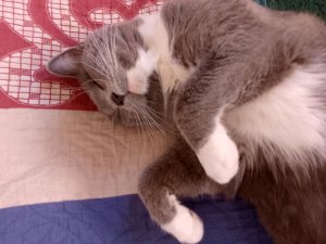 я у саседей