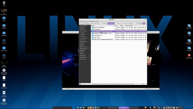 Blu-Ray, 4K & DVD Ripping | For Plex | MakeMKV | Video Server | MKV Play Back смотреть онлайн