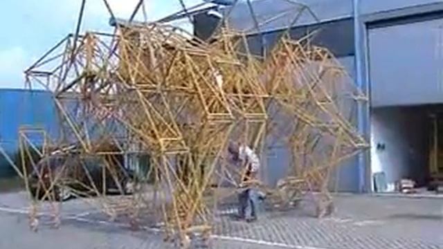 Animaris Rhinoceros Transport смотреть онлайн