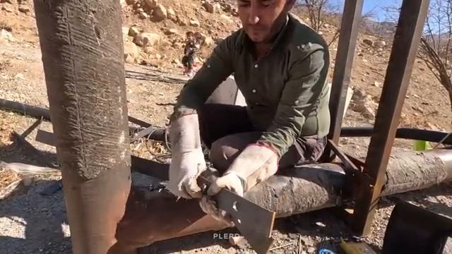 26.11.2023 Творческое материнство Мост за пределами границ; Канатная дорога, объединяющая семью и ре смотреть онлайн