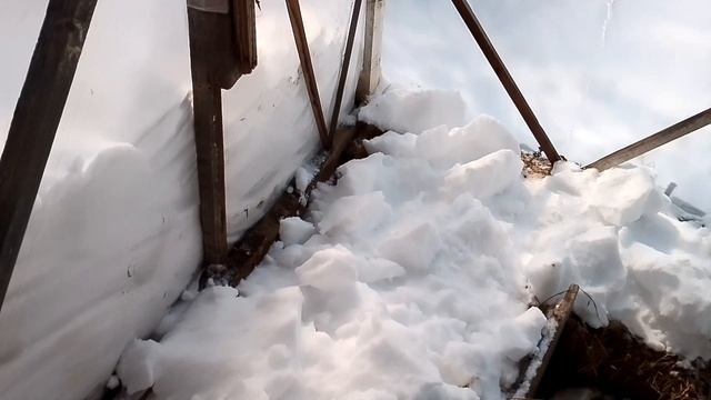 Нужен ли снег в теплице на грядках или.....