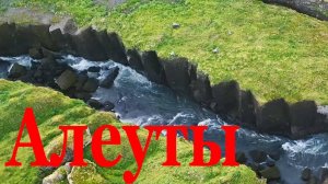 Форты на необитаемом острове. Тайная миссия американского спецназа на островах Аляски и Порт Крос.