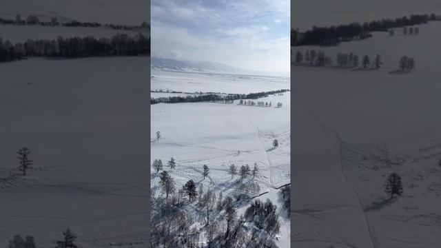 На Воздушном шаре со Сталиным, летим по Алтаю) #Сталин #Алтай #Шар смотреть онлайн