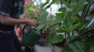 Видео-визитка воспитателя Улбутовой Татьяны Вячеславовны