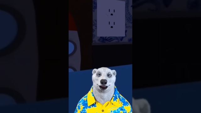 белый медведь|27 ноября мем|ходилки бродилки смотреть онлайн