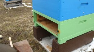 Пчеловодство. Чистка дна улья от подмора