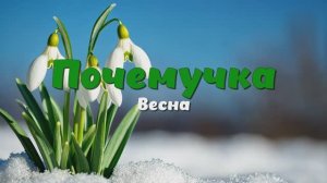 Почемучка - весна. Детское развивающее видео.