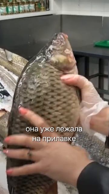 Вот почему рыба раньше была вкуснее... #рыба #рыбалка #мифы #узв #бизнес #еда #питание #рыбы смотреть онлайн