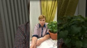 Когда зацветут гортензии?  Ответы на многие вопросы по гортензиям. Эфир из Телеграмм