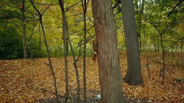 Висит ядреныый перегар смотреть онлайн