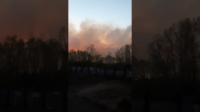 Горят леса в Сибири.. смотреть онлайн