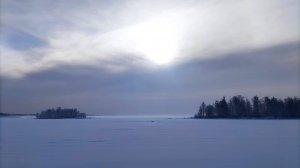 Увильды, Жемчужина, рипус, 25.02.25