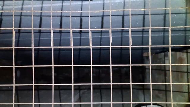 Две кладовки из маленького гаража | Серия 2