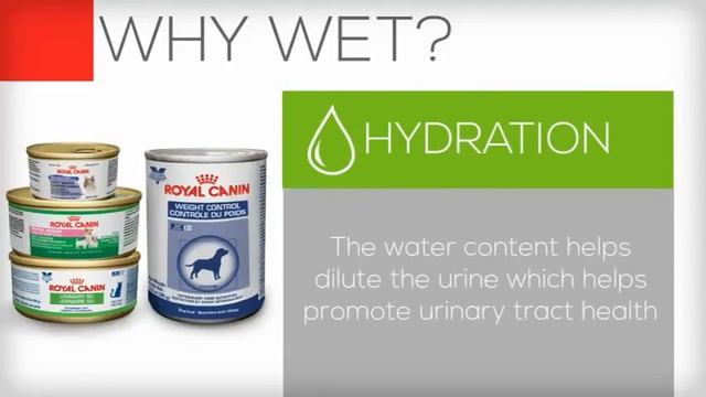 Alimento Húmedo "Royal Canin" Wet смотреть онлайн