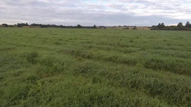 Охота на хитрого дупеля 01,08,2020 с Дратхааром. смотреть онлайн