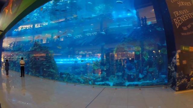 Dubai Mall Aquarium