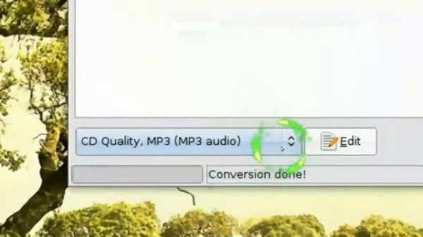 Convert Ape Wma Ra Mpc AAC m4a - Gnac - Ubuntu Linux 8.04