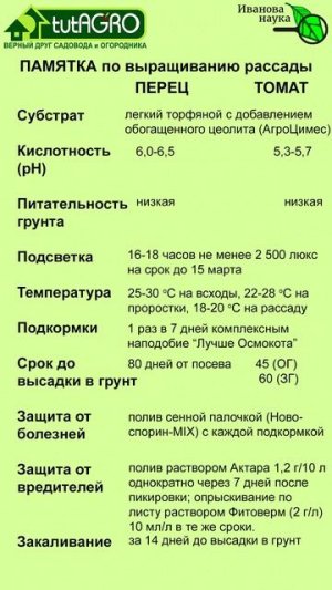 Памятка по выращиванию рассады перца и томата.