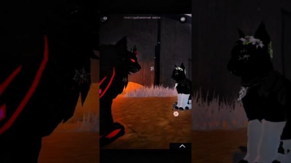 Fire paw WCUE Red Raven /Edit/WCUE/