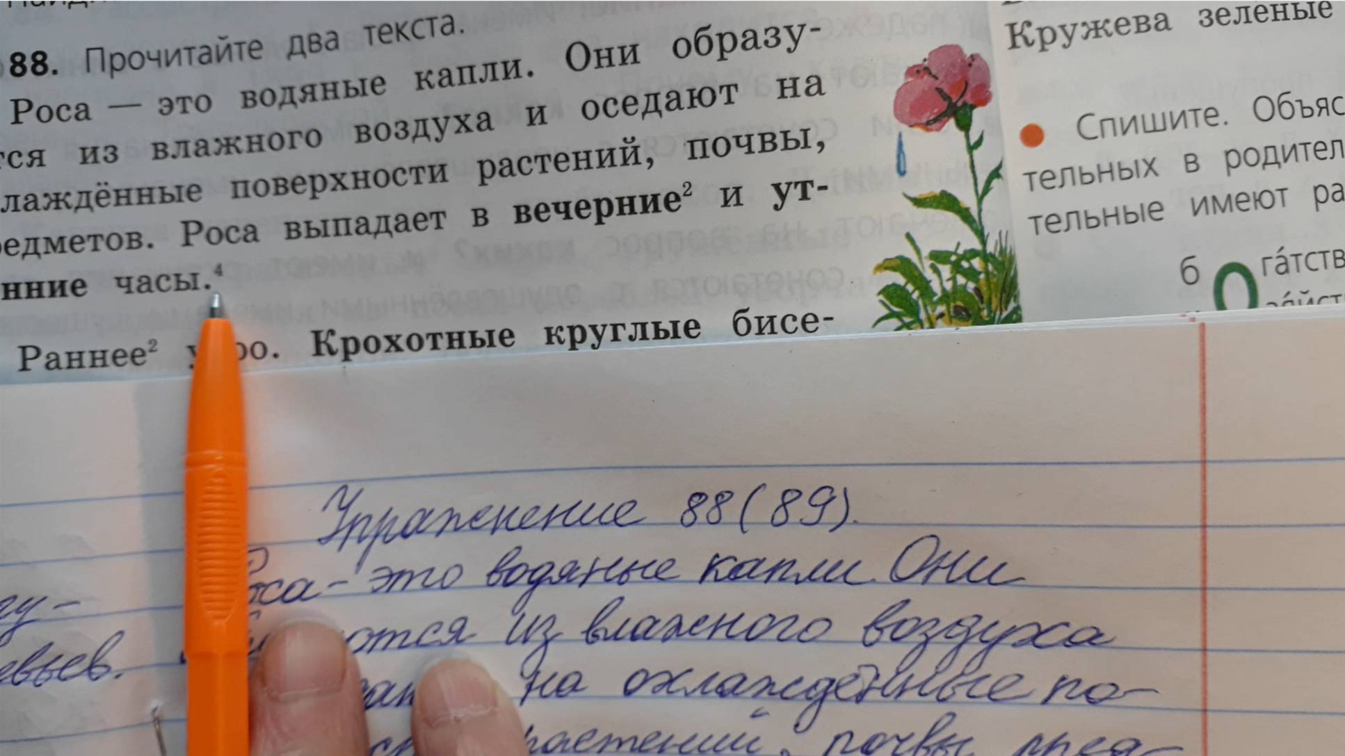 Русский язык 4 класс, 2 часть, упр.88 (89), стр.42 смотреть онлайн