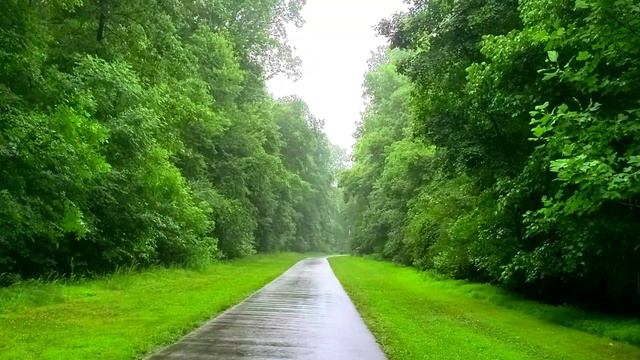 Расслабляющие звуки дождя смотреть онлайн