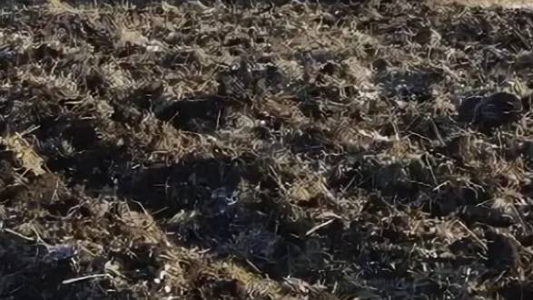 На Ставрополье выявили незаконную распашку земель