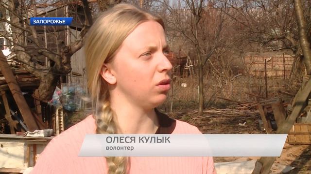 Спасение Джозефа смотреть онлайн