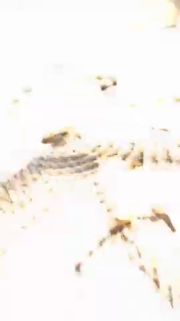 Джутовый коврик смотреть онлайн