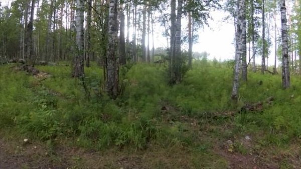 YDXJ0856_1555555555555