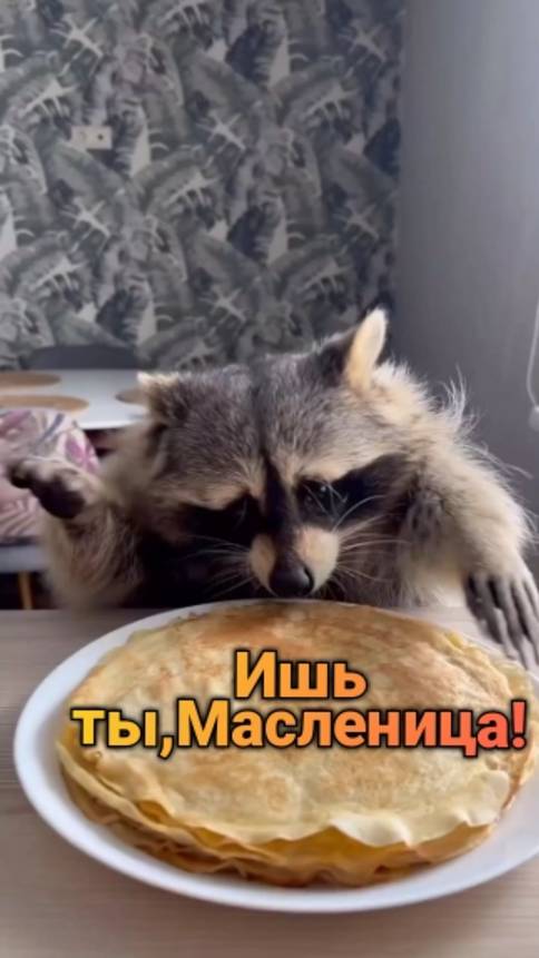 Ишь ты, Масленица! 🌞 смотреть онлайн