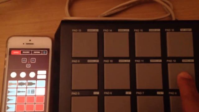 Koala Sampler + Akai Mpd18