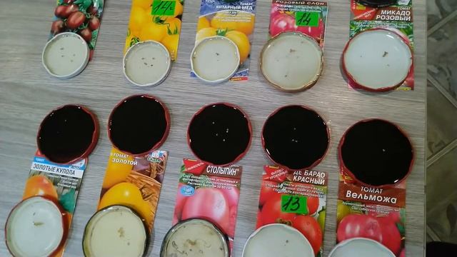 Эксперемент с проращиванием семян перед посевом. смотреть онлайн