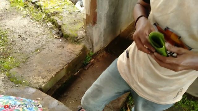 MANCING DI SUNGAI DAPAT IKAN MAS BESAR смотреть онлайн