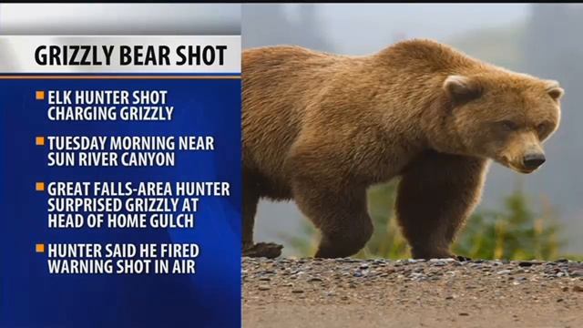 Hunter Shoots Charging Grizzly Bear West Of Augusta