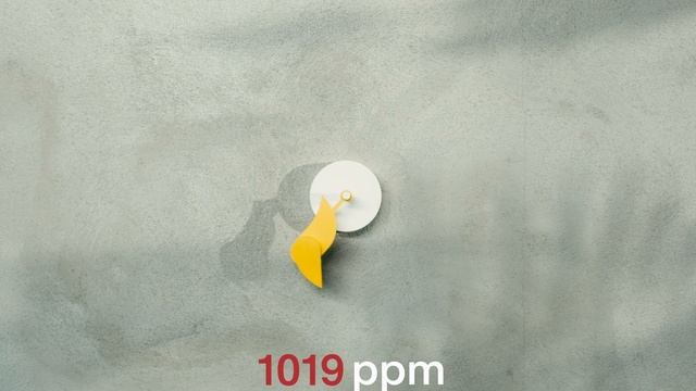 How to install and use your Birdie смотреть онлайн