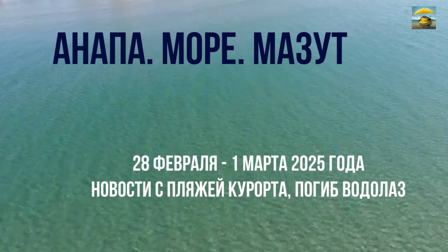 Анапа 28 февраля - 1 марта 2025 года, трагедия в море, новости с пляжей, нужны птичьи волонтеры смотреть онлайн