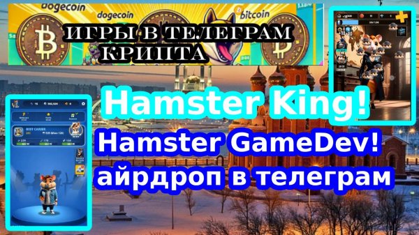 HAMSTER King!HAMSTER GameDev!айрдроп в телеграм