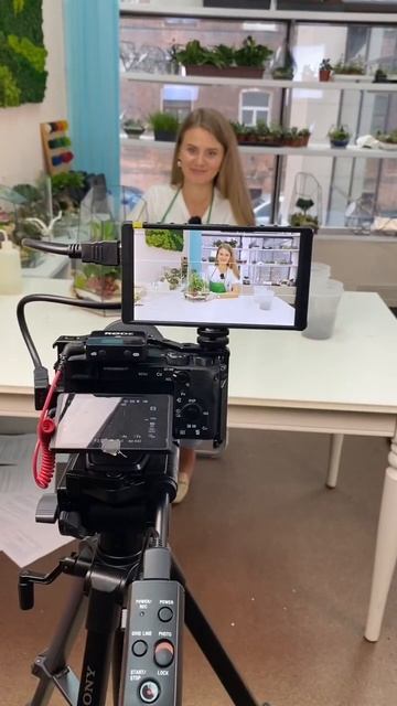 Специальный эфир! Fitomir. Decor смотреть онлайн