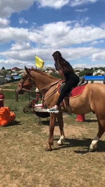 Девушка заезжает лошадь. смотреть онлайн