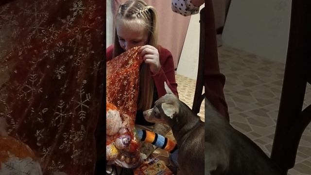 новый год смотреть онлайн