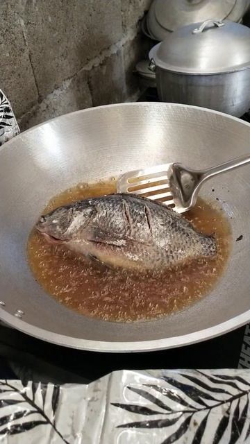 COOKING BIG TILAPIA 🐠 😱