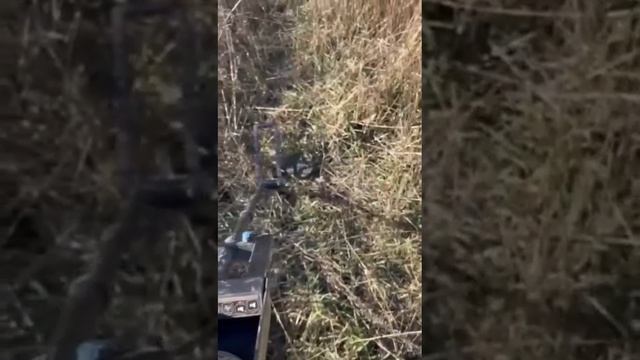 Настройка порога сигнала металлоискателя Альфамарин5000. смотреть онлайн