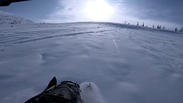 Приисковый 01.03 смотреть онлайн