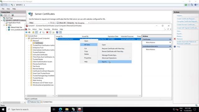 How to export SSL with Private Key from Windows IIS Server | AMchannel смотреть онлайн
