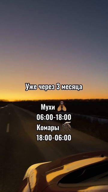 Лето близко ☀️