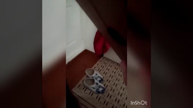 Полосатик и Марфучо 10 конфет смотреть онлайн