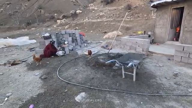 12.01.2024 Ее история продолжается Гнездо для гусят, Следующих за Отважной Матерью смотреть онлайн