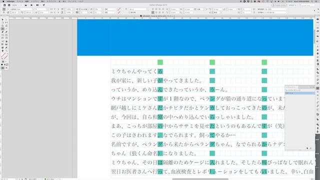 はじめてでもこわくない InDesign 　基本-7-グリッドフォーマットと段落スタイル 2 смотреть онлайн