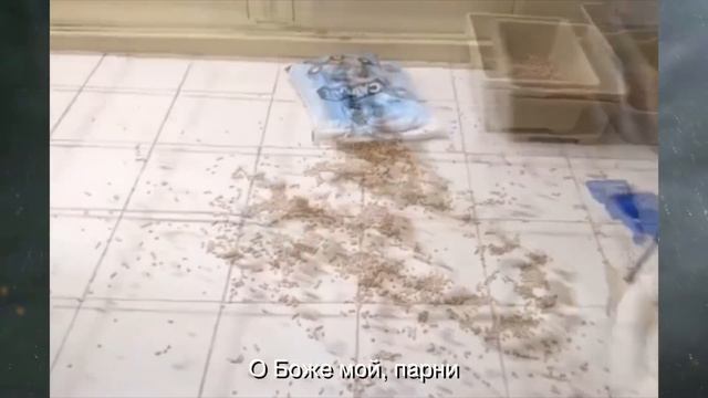 [кеХто приколы] Кто это сделал? | Приколы и фейлы апрель 2018 смотреть онлайн